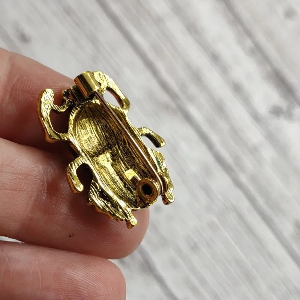 Beetle Brooch Pin.  P1